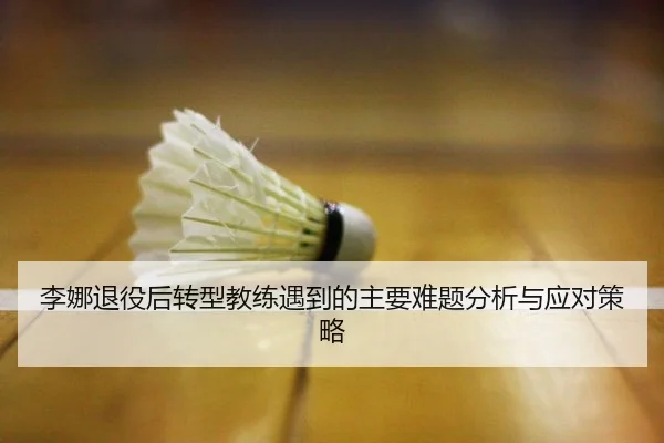 li-na-tui-yi-hou-zhuan-xing-jiao-lian-yu-dao-de-zhu-yao-nan-ti-fen-xi-yu-ying-dui-ce-lve-2-933.jpg